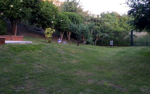 Casale Oleandro Marino: Græs, Blad, Landskab, Have, Lawn, Land Lot, Bunddække, Forår, Gård