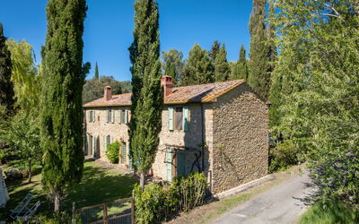Montescudaio 51