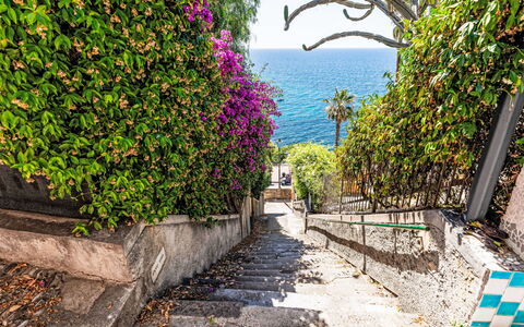 Villa Cristina: Blå, Grøn, Vegetationen, Busk, Forår, Hav, Ocean, Walkway, Tropics