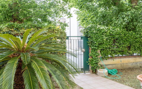 Corte Marina Apartment: Grøn, Blad, Vegetationen, Busk, Vedplante, Have, Skygge, Landscaping, Evergreen