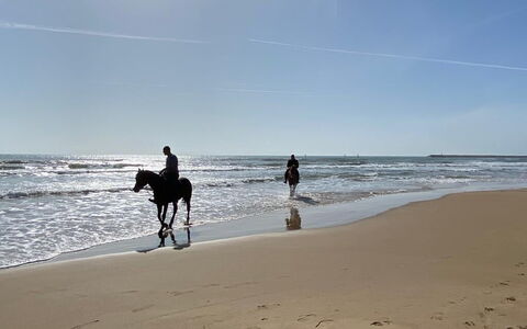 Appartamento Tramonto sul Mare: Strand, Hest, Hav, Kyst, Fritid, Ocean, Kyst, Coastal Og Oceaniske Landskabsformer, Sand