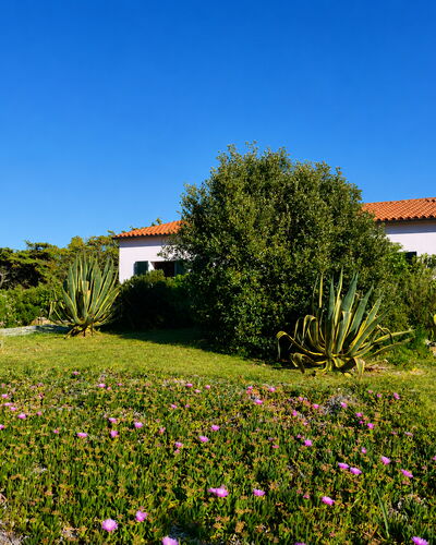 Villa Vignola