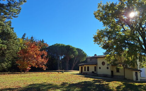 House in the Woods, Pool and Relax in Umbria: Træ, Græs, Blad, Afdeling, Hus, Hjem, Almindeligt, Land Lot, Lawn, Bagagerum