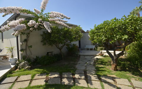 Villa Benvenuti al Sud: Have, Skygge, Backyard, Landscaping, Gård, Flise, Walkway, Gårdsplads, Udendørs Struktur