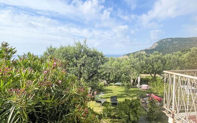 Finale Ligure 30: Busk, Landskab, Have, Landscaping, Botanisk Have, Plantation, Walkway, Sti