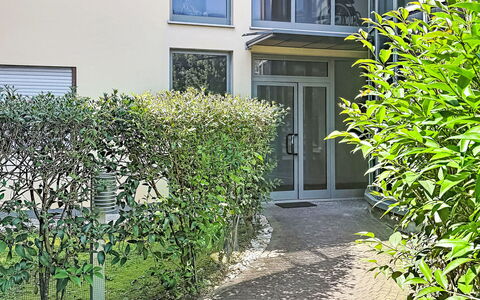 Nala: Busk, Urban Design, Have, Hæk, Skygge, Gård, Landscaping, Backyard, Gårdsplads