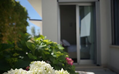 Villa Mulberry Garden - Esclusiva con Piscina Priv: Blomst, Kronblad, Blomstrende Plante, Have, Landscaping, Dagslys, Hortensia-Familien, Hydrangea, Altan