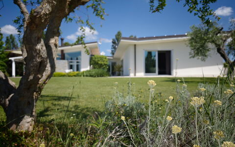 Villa Mulberry Garden - Esclusiva con Piscina Priv: Hjem, Busk, Boligområde, Land Lot, Lawn, Estate, Have, Sommerhus, Skygge, Landscaping