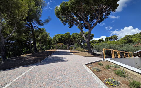 Villa Pineta della Rovere: Træ, Offentlige Rum, Walkway, Hældning, Skygge, Landscaping, Indkørsel, Sti, Trappe, Sti