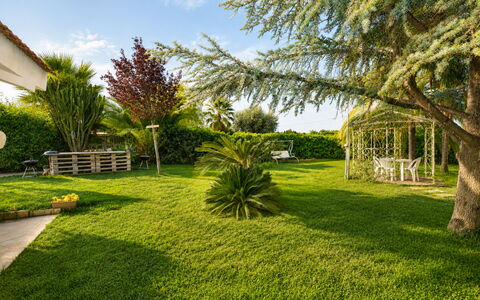 Il Cigno Reale Green: Græs, Træ, Grøn, Blad, Vegetationen, Have, Busk, Landskab, Lawn