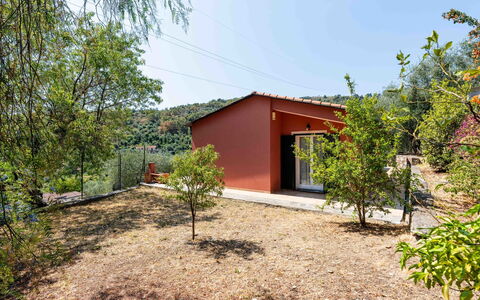 Orto di Silvia: Blad, Landskab, Land Lot, Landdistrikt, Hældning, Skygge, Garden Bygninger, Stuehus