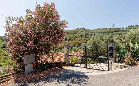Orto di Silvia: Busk, Have, Hegn, Pol, Landscaping, Home Fencing