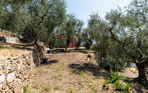 Orto di Silvia: Træ, Blad, Afdeling, Bagagerum, Jord, Vedplante, Landscaping, Sti, Backyard
