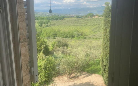 Il Casale al Colle: Sollys, Glas, Plantation, Dagslys