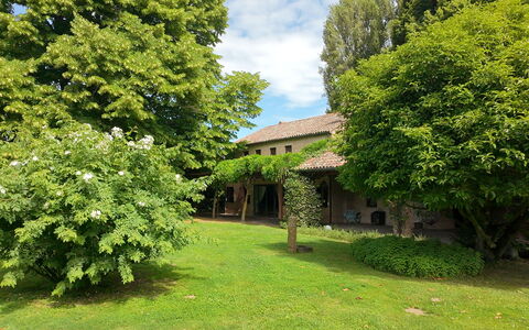 Villa Dorina: Træ, Blad, Busk, Lawn, Have, Sommerhus, Estate, Backyard, Stuehus