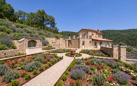 Villa Maddalena alla Guglielmesca: Blomst, Have, Busk, Plantesamfund, Bunddække, Landscaping, Botanisk Have, Plantation, Wildflower