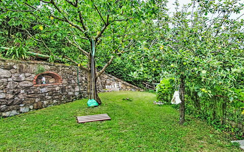 Cà Olivella: Møbel, Køkken & Spisebord, Stol, Etage, Hav, Altan, Ocean, Udvej, Eco Hotel, Spisestue