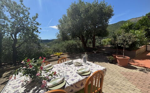Il Fienile, Garden and Peacefull View: Have, Bjergkæde, Blomsterkrukke, Landscaping, Gård, Stueplante, Stol, Eco Hotel, Køkken & Spisebord