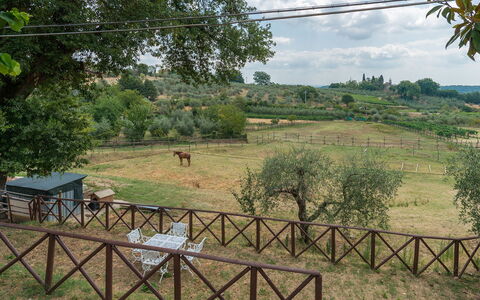 Casa Elia 6: Træ, Almindeligt, Landdistrikt, Hegn, Pasture, Home Fencing, Parkere, Farm, Ranch