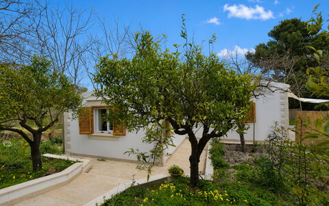 La Dimora di Diana: Busk, Have, Sommerhus, Skygge, Backyard, Gård, Landscaping, Hacienda, Stuehus