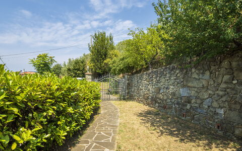 La Casina: Grøn, Busk, Have, Stenmur, Sollys, Hæk, Landscaping, Walkway, Hegn, Flise
