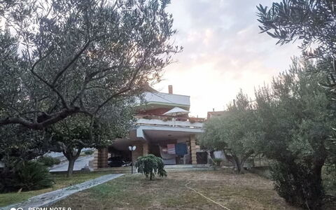La Terrazza di Colle Marino: Træ, Hacienda, Gård, Landscaping