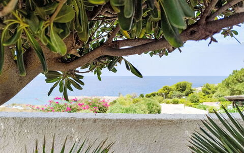Cala Isulidda: Hav, Ocean, Kyst, Tropics, Strand, Caribbean