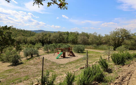 La Calcinaia Country Villa, Bucine: Træ, Vegetationen, Landskab, Plantesamfund, Landdistrikt, Land Lot, Almindeligt, Jord, Shrubland, Pasture