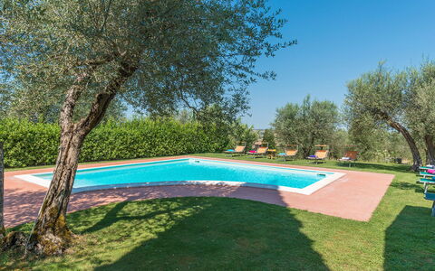 Casa Torrione 14: Hacienda, Estate, Lawn, Stuehus, Villa, Svømmepøl, Backyard