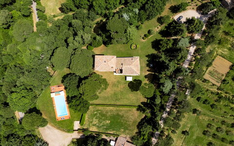 Torre di Paciano 10+2: Træ, Naturligt Miljø, Natur, Landskab, Boligområde, Hus, Hjem, Estate, Almindeligt, Land Lot
