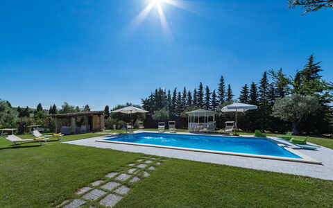 Il Podere di Fi 8: Svømmepøl, Udvej, Have, Udendørs Møbler, Landscaping, Lawn, Estate, Fritid, Eco Hotel, Skygge