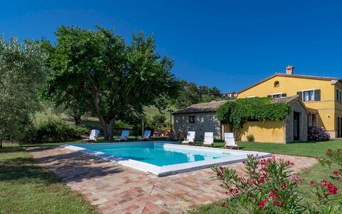 Casale Verdicchio 10+2: Estate, Sommerhus, Svømmepøl, Stuehus, Hacienda, Villa, Lawn, Landscaping, Eco Hotel, Gård