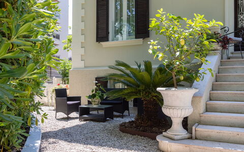 Villa Corona 8: Busk, Have, Blomsterkrukke, Skygge, Landscaping, Stueplante, Gårdsplads, Gård