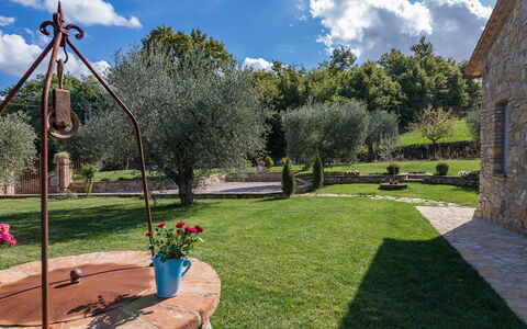 La Villetta di Dante 6: Have, Busk, Backyard, Landscaping, Lawn, Gård, Skygge, Mursten, Flise, Hacienda