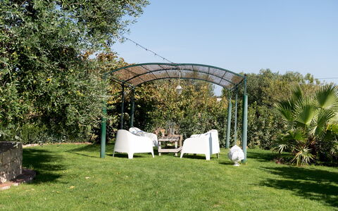 Trulli Littoria 4: Have, Busk, Skygge, Gazebo, Udendørs Struktur, Pavilion, Landscaping, Baldakin, Backyard, Lawn