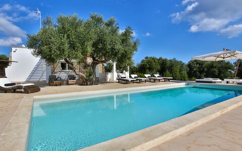 Villa Pajare Francesi 8+2: Blå, Svømmepøl, Skygge, Estate, Udvej, Udendørs Møbler, Villa, Hacienda, Hotel
