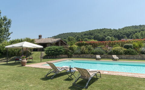 Casale al Doglio 6+1: Svømmepøl, Stuehus, Eco Hotel, Udvej, Estate, Have, Hacienda, Sommerhus, Villa, Landscaping