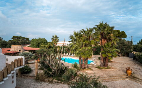 Villa Manco 12: Træ, Udvej, Skygge, Eco Hotel, Udendørs Møbler, Hacienda, Landscaping, Estate, Tropics