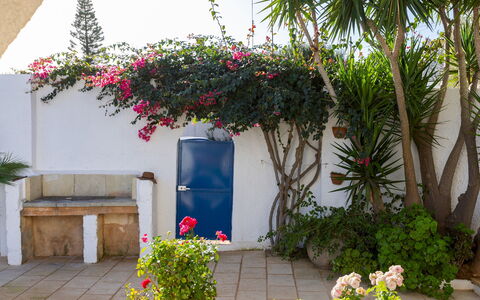 Villa del Lentisco 8+2: Blomst, Blomsterkrukke, Busk, Have, Stueplante, Skygge, Landscaping, Gård, Gårdsplads