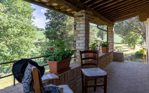 Podere Madonna di Mezzo 6: Træ, Møbel, Stol, Udendørs Møbler, Skygge, Veranda, Sommerhus, Blomsterkrukke, Have, Udendørs Struktur