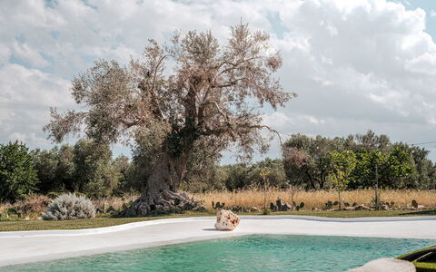 White Stone House 6+1: Afdeling, Bagagerum, Have, Kvist, Lawn, Parkere, Landscaping