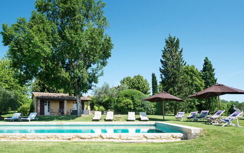 Podere Gragnano 12: Træ, Græs, Busk, Land Lot, Lawn, Have, Hjem, Estate, Sommerhus