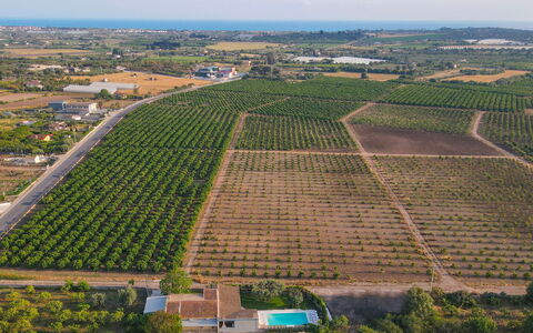 Il Giardino dei Limoni 8: Fugleperspektiv, Landbrug, Mark, Landskab, Plantation, Almindeligt, Land Lot, Luftfotografering, Afgrøde, Farm