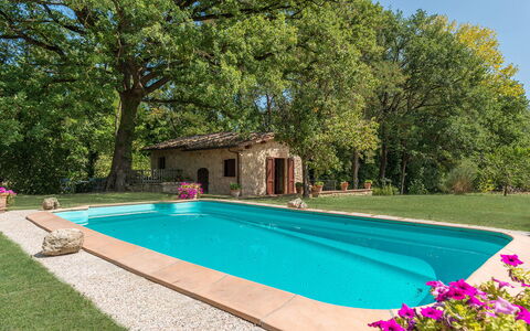 Mulino della Quercia 2+1: Svømmepøl, Have, Backyard, Skygge, Landscaping, Hacienda, Stuehus, Gård, Eco Hotel, Udvej