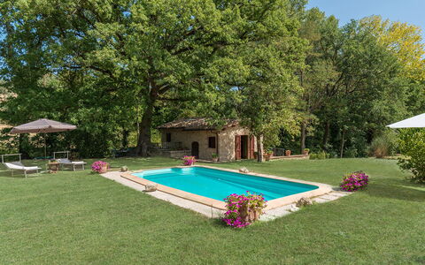 Mulino della Quercia 2+1: Svømmepøl, Have, Backyard, Lawn, Stuehus, Estate, Gård, Skygge, Hacienda, Landscaping