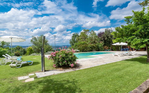 Villa Ambrah 12+1: Svømmepøl, Have, Udvej, Udendørs Møbler, Eco Hotel, Landscaping, Ferieby, Parkere, Liggestol, Villa