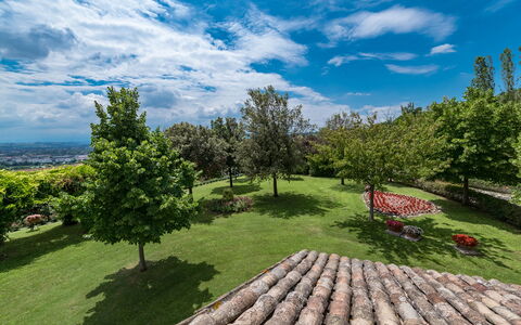 Villa Ambrah 12+1: Himmel, Træ, Græs, Natur, Grøn, Vegetationen, Landskab, Busk, Sky, Land Lot