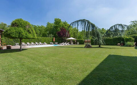 Villa Miki 10: Træ, Græs, Busk, Have, Svømmepøl, Land Lot, Fritid, Lawn, Skygge, Landscaping
