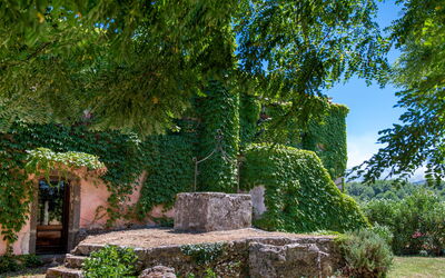 Villa Terre Normanne 10