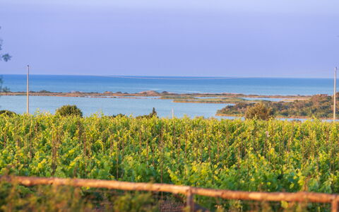 Villa Passo degli Aironi 12: Blå, Horisont, Coastal Og Oceaniske Landskabsformer, Hav, Kyst, Ocean, Plantation, Kyst, Mark, Shrubland